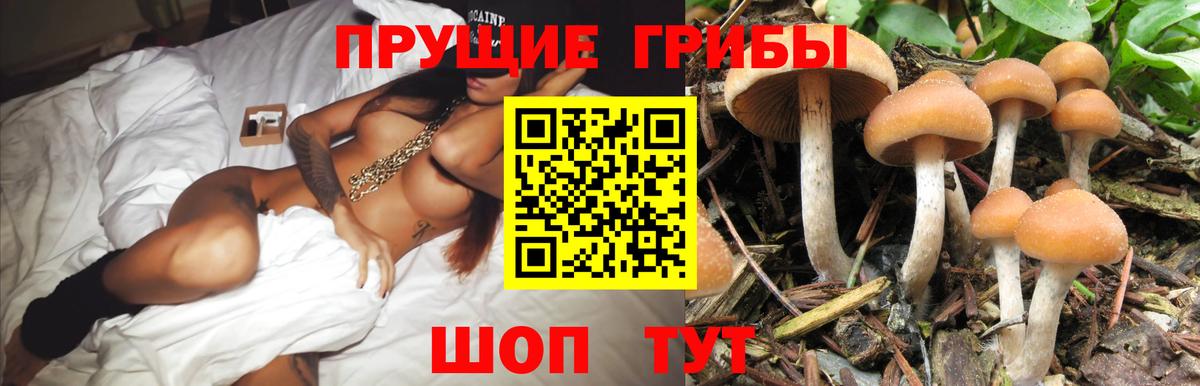 Когалым  Галлюциногенные грибы GOLDEN TEACHER  Псилоцибиновые грибы Psilocybe  Вход с VPN 